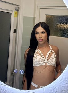 Holly Top Xl - Transsexual escort in Dubai Photo 4 of 6