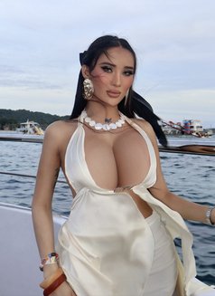 HOLY MOLY (Party/GFE) SUPER big boobs - Transsexual escort in Makati City Photo 18 of 20