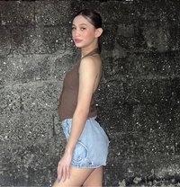 Holypolly - Acompañantes transexual in Manila