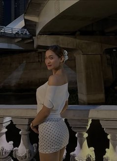 Holypolly - Acompañantes transexual in Manila Photo 3 of 4