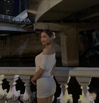 Holypolly - Acompañantes transexual in Manila