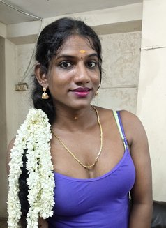 Homely Shemale From Chennai - Transsexual escort in Chennai Photo 1 of 2