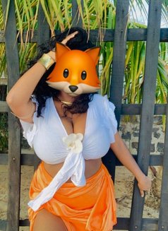 Honeey - puta in Lomé Photo 3 of 3