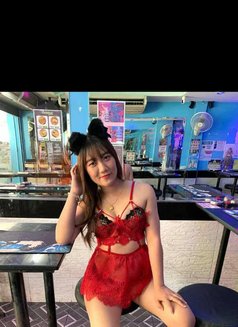 Honey Bee Sexy - escort in Bangkok Photo 1 of 6