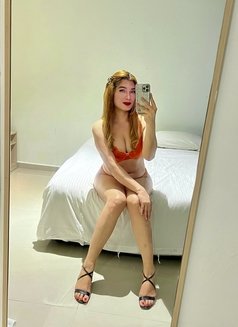 Real Meet and CamShow - Transsexual escort in Kuala Lumpur Photo 9 of 25