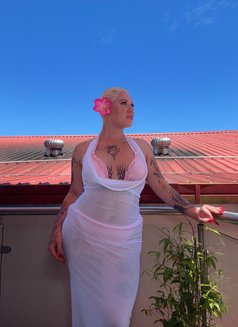 Honey Rose Aussie - Acompañantes transexual in Bangkok Photo 1 of 7