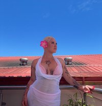 Honey Rose Aussie - Acompañantes transexual in Bangkok