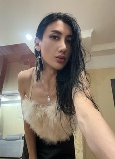 Медовый большой член - Transsexual escort in Dubai Photo 10 of 23