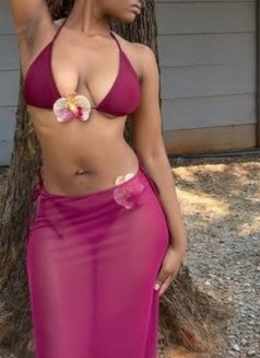 Honey - puta in Johannesburg Photo 1 of 4