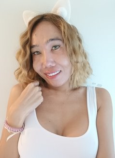 HoneyAnn - Acompañantes transexual in Bangkok Photo 18 of 19