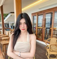 Honeybee - escort in Bali