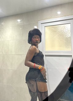 Honeydrop - Acompañantes transexual in Lagos, Nigeria Photo 3 of 3