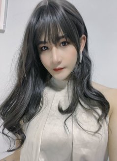 Hong Kong Dick - Transsexual escort in Guangzhou Photo 5 of 11