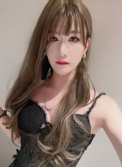 Hong Kong Dick - Transsexual escort in Guangzhou Photo 7 of 11