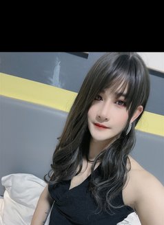 Hong Kong Dick - Transsexual escort in Guangzhou Photo 8 of 11