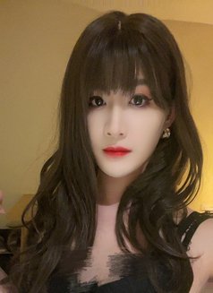 Hong Kong Dick - Transsexual escort in Guangzhou Photo 9 of 11