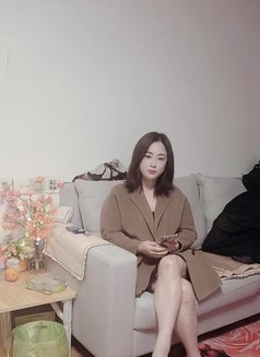 Hongxing - escort in Shanghai Photo 2 of 2