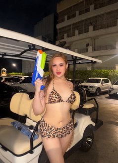 Hope, the Cocksucker - Transsexual escort in Makati City Photo 11 of 14