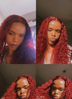 Horny Bbc Tamara - Transsexual escort in Johannesburg Photo 5 of 6