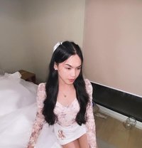 Horny Slut - Acompañantes transexual in Manila