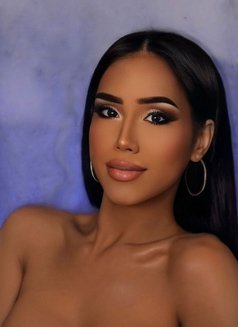 Hornytopangel - Transsexual escort in Kuala Lumpur Photo 12 of 18