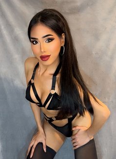 Hornytopangel - Transsexual escort in Kuala Lumpur Photo 15 of 18