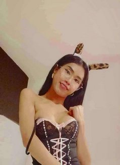Hornytopangel - Acompañantes transexual in Kuala Lumpur Photo 28 of 29