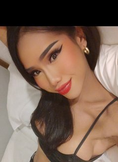 Hornytopangel - Transsexual escort in Kuala Lumpur Photo 27 of 30