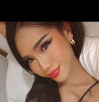 Hornytopangel - Transsexual escort in Kuala Lumpur
