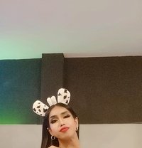 Hornytopangel - Acompañantes transexual in Kuala Lumpur