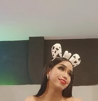 Hornytopangel - Transsexual escort in Kuala Lumpur