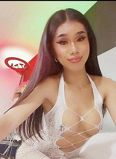 Hornytopangel - Acompañantes transexual in Kuala Lumpur Photo 28 of 30