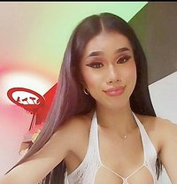 Hornytopangel - Transsexual escort in Kuala Lumpur