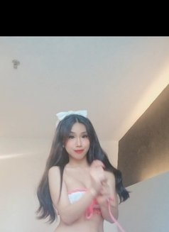 Hornytopangel - Transsexual escort in Kuala Lumpur Photo 12 of 13