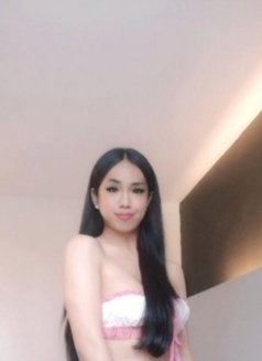 Hornytopangel - Transsexual escort in Kuala Lumpur Photo 13 of 13