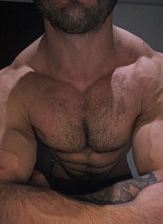 Horse 9 Inches Big Cock Onlyfans 22cm - Male escort in Dubai Photo 6 of 8