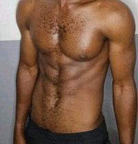 Horse Mb Xxl - Acompañantes masculino in Bangkok