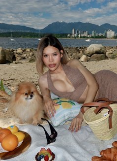 Hot 7inches Yanisa - Acompañantes transexual in Mississauga Photo 18 of 18