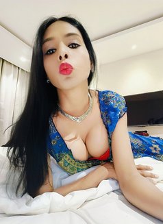 Hot and Cool Roshni Sexy - Transsexual escort in Chennai Photo 4 of 12