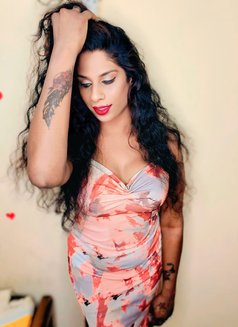 Hot and Sexy Queen in Chennai - Transsexual escort in Chennai Photo 1 of 4