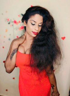 Hot and Sexy Queen in Chennai - Transsexual escort in Chennai Photo 2 of 4