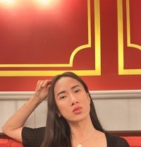 🌶️ Chocolate Dick - Transsexual escort in Bangkok