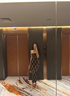 Hot Asian chicks in town - puta in Taipei Photo 14 of 14