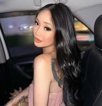 Hot Asian Christina - Transsexual escort in Manila