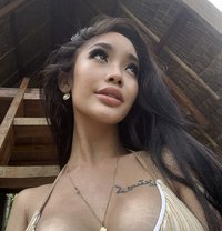 Hot Asian Christina - Transsexual escort in Bali