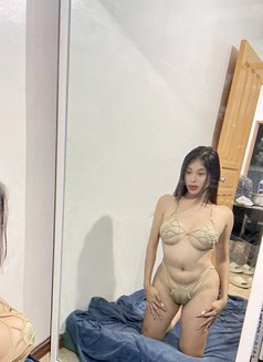 Hot Asian Girl Camshow - Transsexual escort in Manila Photo 2 of 3