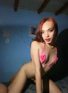 Hot Astrid for Meet/Cumshow/Contents - Transsexual escort in Manila Photo 4 of 5