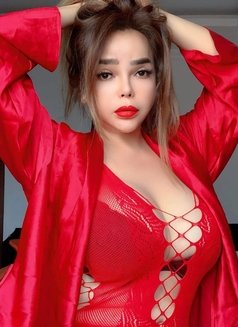 SWEETY BUSTY Girl Landed - escort in Ipoh Photo 12 of 28