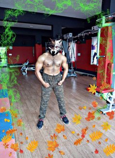 Bull for Women or cuckold couple - Male escort in Chennai Photo 3 of 3