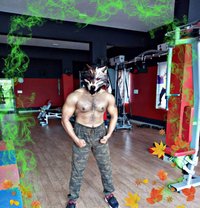 Bull for Women or cuckold couple - Male escort in Chennai